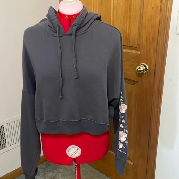 Hollister Tops Hollister Cropped Hoodie With Embroidered